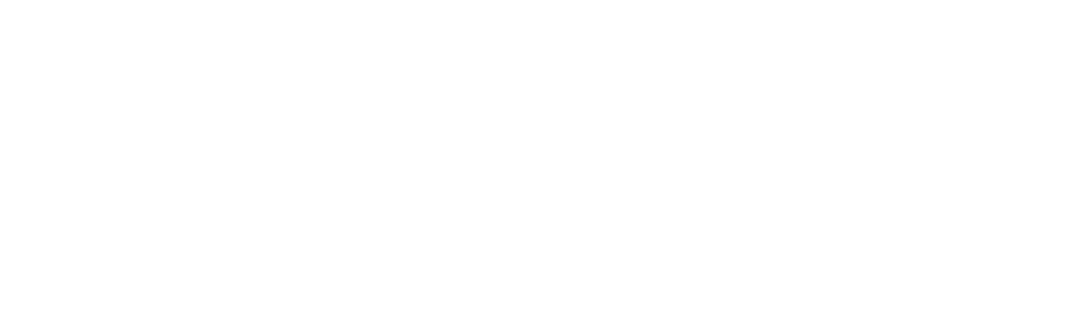 Elit'Avia Logo